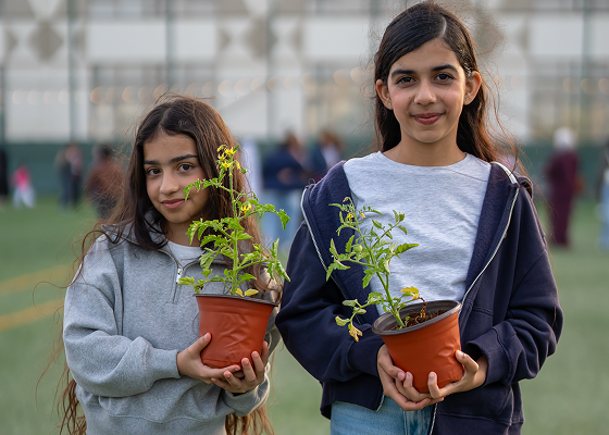 Sustainability Initiatives